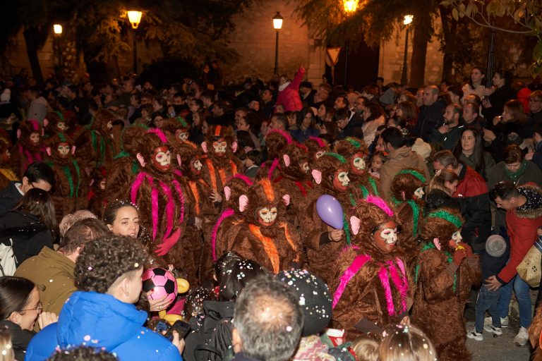 RM2024-12-Carroza_06_El_Libro_de_la_Selva_0073