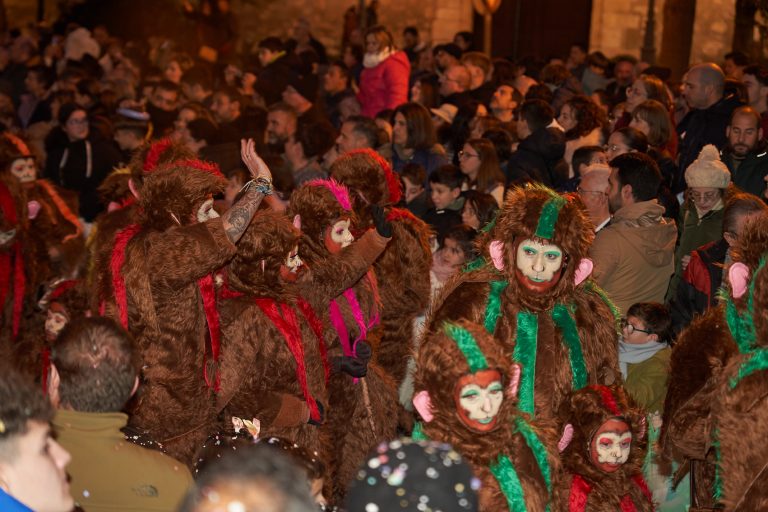 RM2024-12-Carroza_06_El_Libro_de_la_Selva_0074